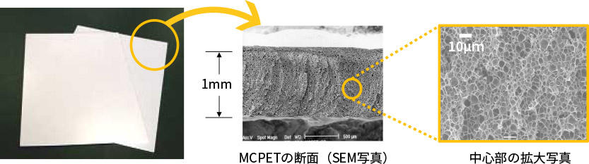 独自の微細発泡構造を持つMCPETの発泡層の拡大写真
