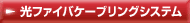 t@CoP[uOVXe