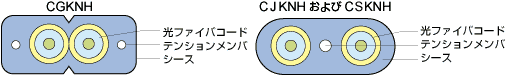 構造画像