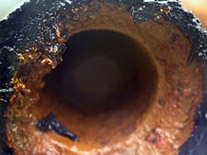 内面が腐食した鋼管の断面の写真