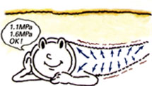 高い耐圧性
