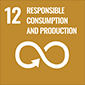 12. Responsible, Consumption and Production