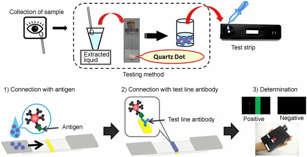 Overview of test strip