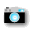 写真有り