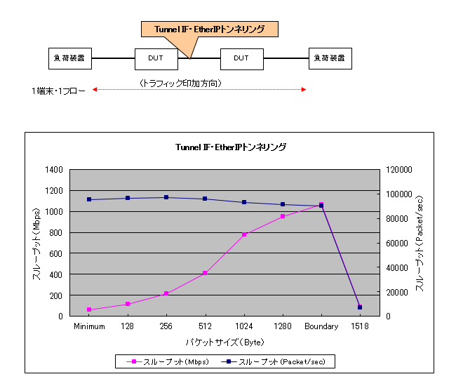 EtherIP(Tunnnel IF)