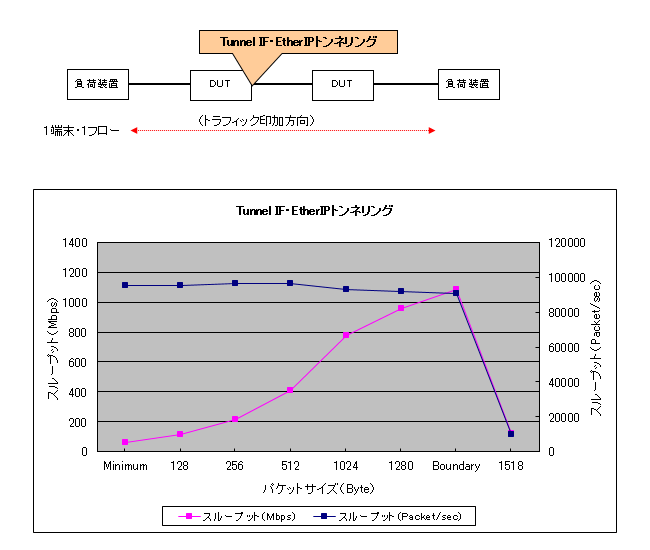 EtherIP(Tunnnel IF)