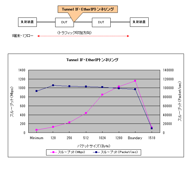 EtherIP(Tunnnel IF)