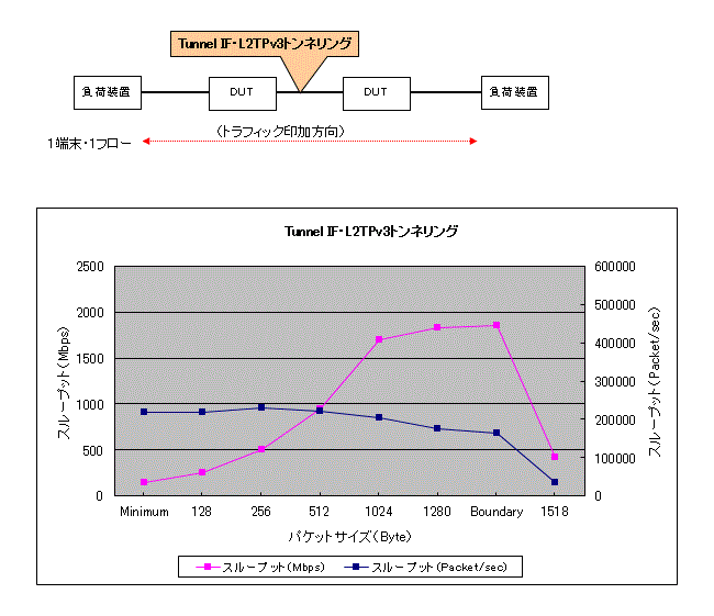 EtherIP(Tunnnel IF)