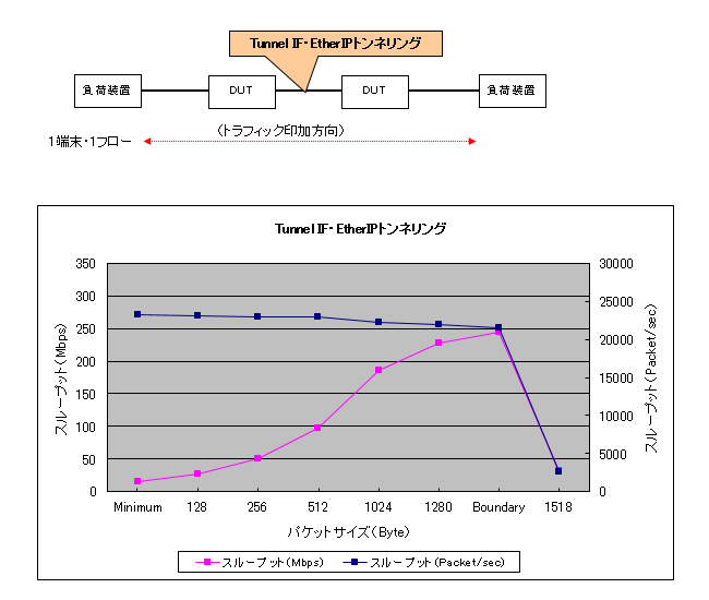 EtherIP(Tunnnel IF)