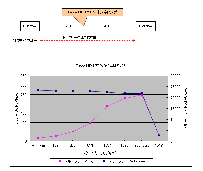 L2TPv3(Tunnnel IF)