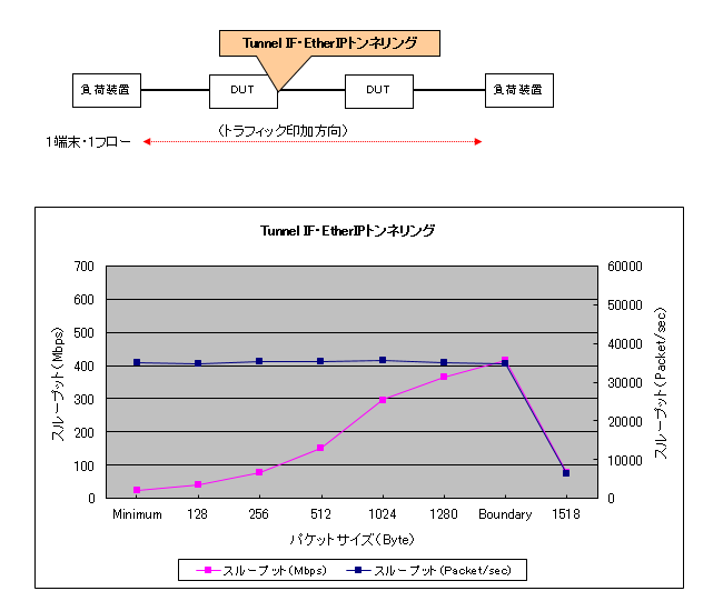 EtherIP(Tunnnel IF)