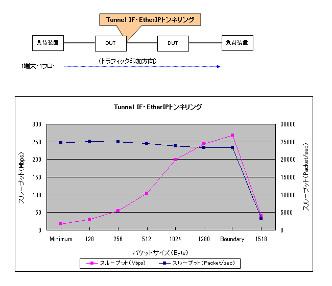 EtherIP(Tunnnel IF)