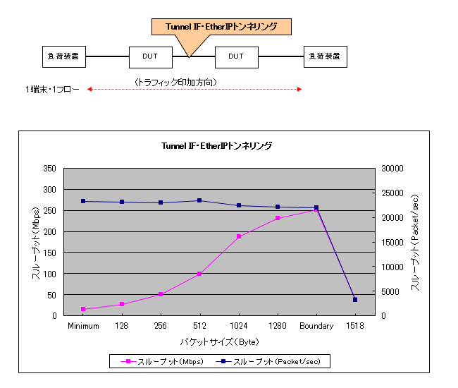 EtherIP(Tunnnel IF)