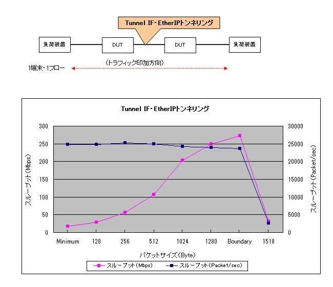 EtherIP(Tunnnel IF)