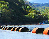 Photograph of Reproduction construction of dam