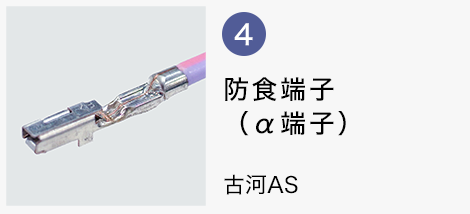 防食端子(α端子)